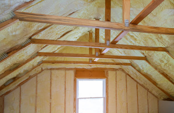 Best Specialized Insulation Services in West Puente Valley, CA